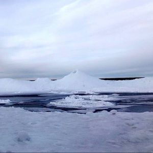 Meet your Posher, Svetlana